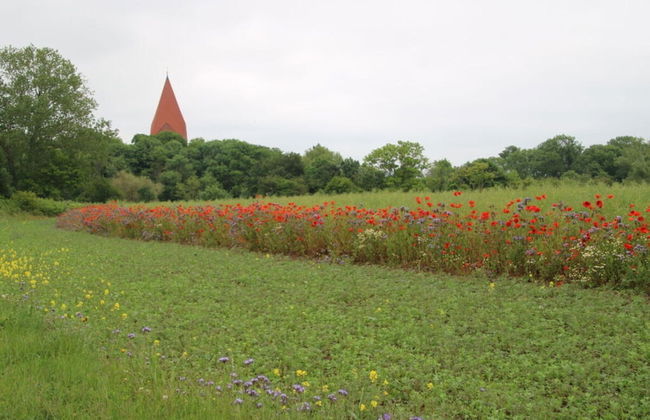 Lake View Modern Retreat - Foto 22