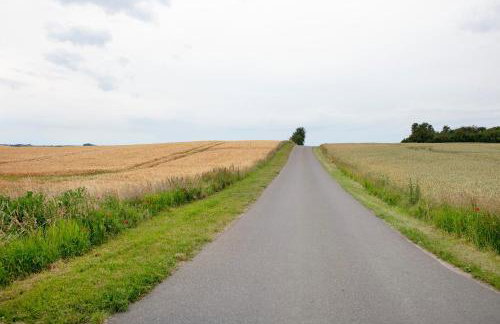 Haus Meistereck Melzow - Foto 24