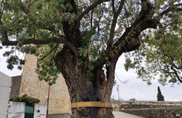 Casa do Adrinho - Foto 24