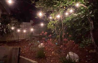 Silverlake and Echo Park - 6min to Downtown and Hollywood - - Photo 15