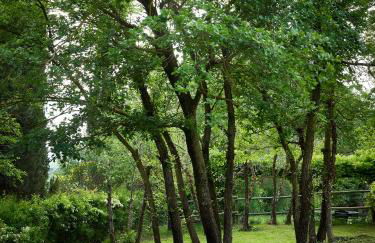 Borgo Lucignanello Bandini - Foto 45