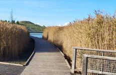 Appartement avec balcon/terrasse - Photo 13