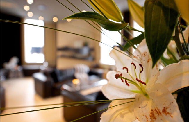 Visionapartments Zurich Wolframplatz - Photo 6