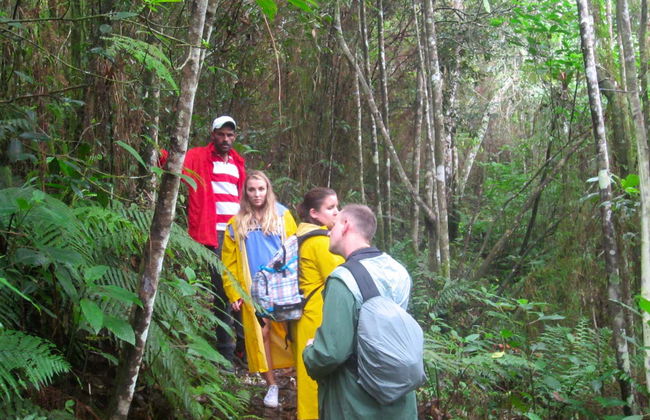 Hiking in Paraíso - Foto 8