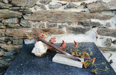 Casa da Muralha - Foto 37