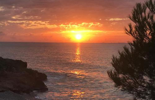 Apartamentos Playa D y G - Foto 12