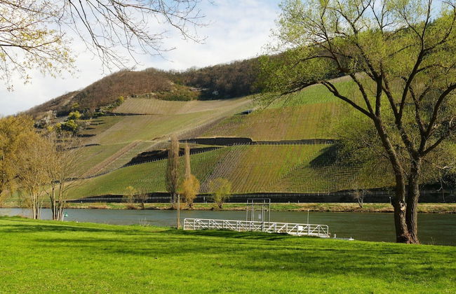 Apartment in Trittenheim With Terrace and Garden - Foto 26