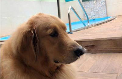 Casa Dulé, a poucos metros da praia - Foto 23