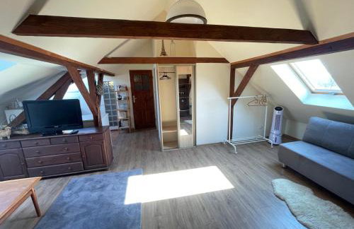 Dzika Foka Wiosłowa 49 - Photo 21