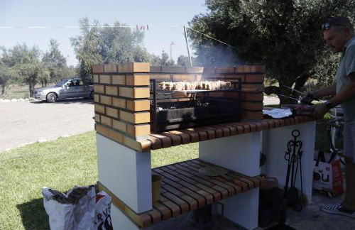 Montinho do Poço - Photo 22