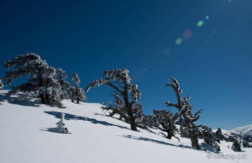 Tana di Zia Nature, Yourself, Love - Foto 43