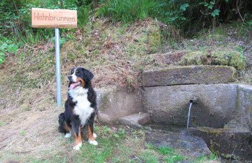 Ferienwohnung Schönmünzblick - Photo 43