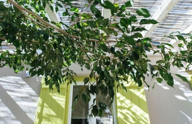 Cozy 2-bedroom House in Tinos - Foto 26