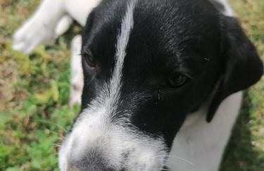 Agriturismo Etico Le Grazie - Foto 14