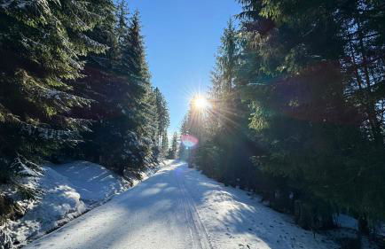 Mitterdorf Almberg x29 - Foto 26