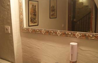 Ave Fénix - Foto 15