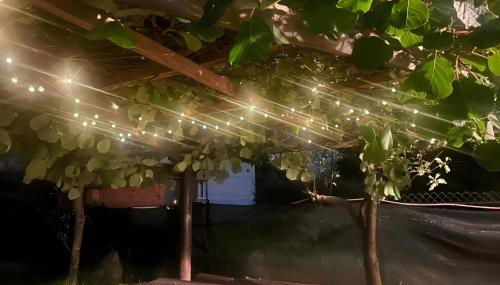 Casa Arianna - Foto 1