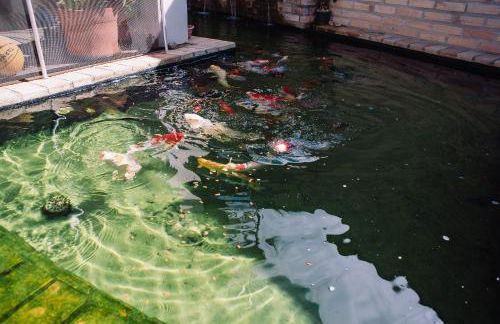 Recanto das Videiras - Casa em Vinícola - Foto 99