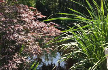 Wohnen im Eulengarten - Foto 21