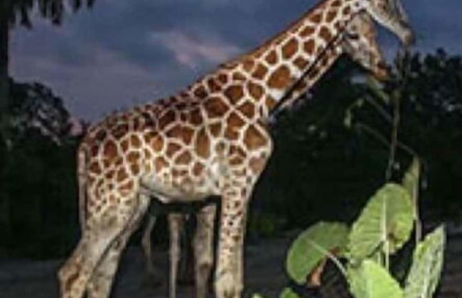 Taiping Lakeview Homestay - Foto 25