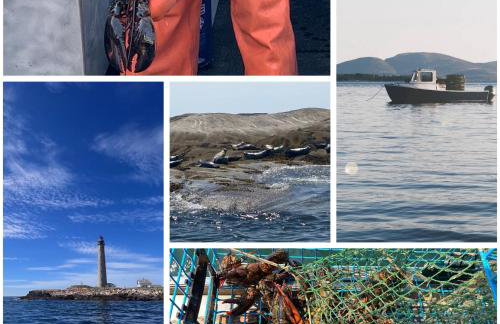 Cozy Coastal Cabin 1 - Foto 24