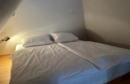 Historisches Eckermannhaus - Apartments - Foto 42