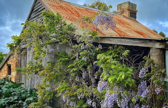 Cherry Plum Cottages - Foto 50