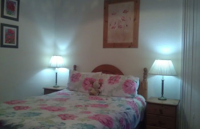 6-bed House in Snowdonia With Your own Private pub - Foto 12