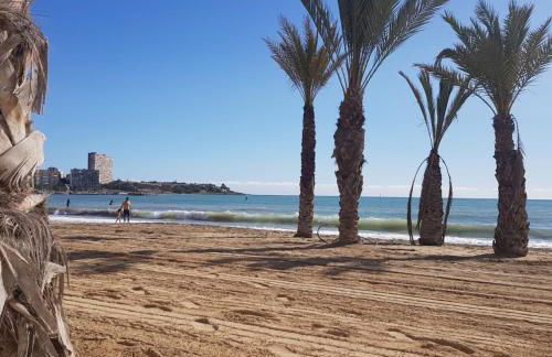 Miralmar Apartamento - Photo 19