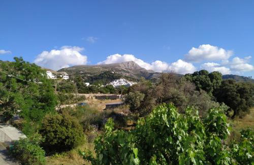 Dreamcatcher of Zeus - Foto 31