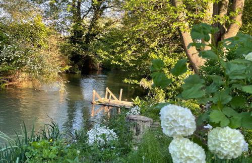 La Petite Rive - Les Oliviers - Foto 19