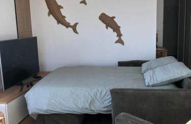 Appartement Aloha, en plein cœur de Barneville - Foto 16