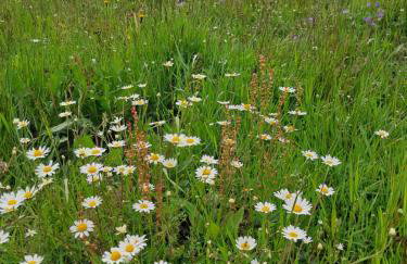 Reset w górach - Foto 30