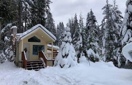 New Tiny Home Steps Away From Mt. Rainier - Foto 5