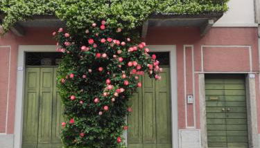 Secret Garden Mandello - Foto 1