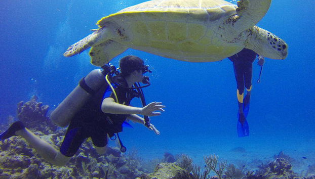 Batismo de mergulho na Ilha do Sal - Foto 3