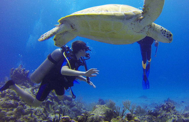 Batismo de mergulho na Ilha do Sal - Foto 3