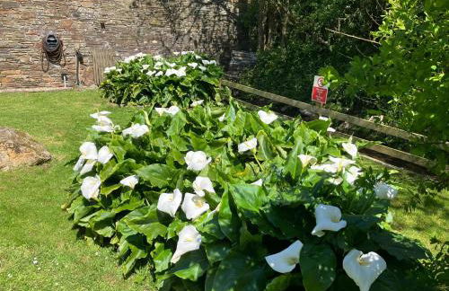 Re-imagined Stone Barns in the Country Near the Coast - Foto 51