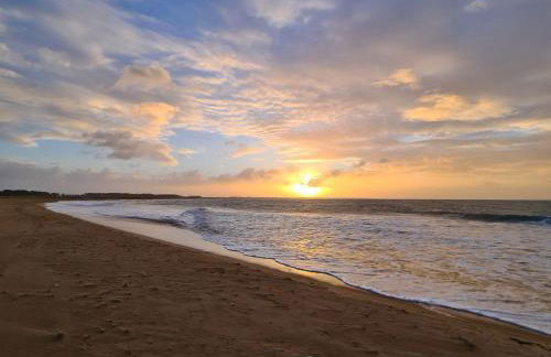 LES EMBRUNS - Photo 65