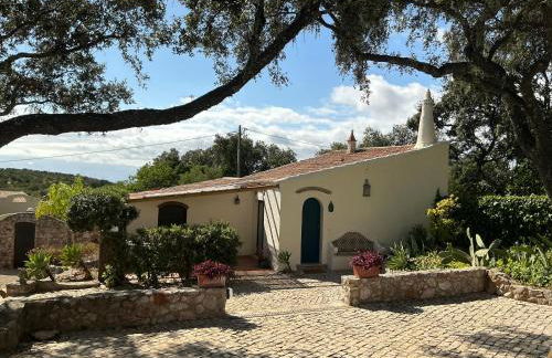 Monte Borboleta - Villas, Apartments - Foto 14