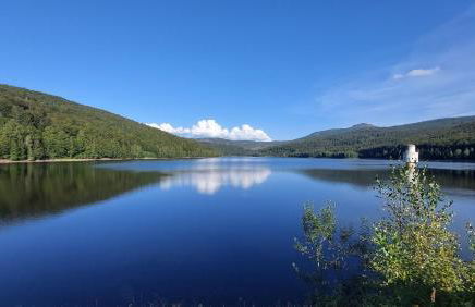 Helle, lichtdurchflutete Ferienwohnung im Herzen des Bayerischen Waldes, Nationalparknähe - Foto 32