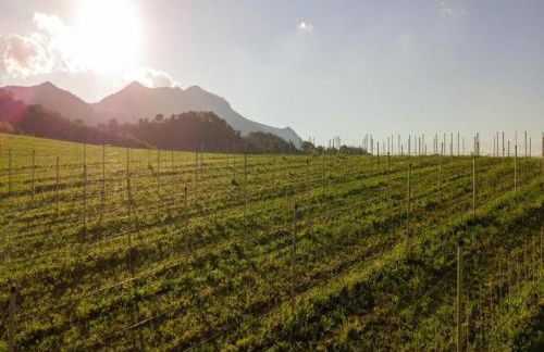 Apartment in Sant'angelo Near Medieval Town - Foto 65