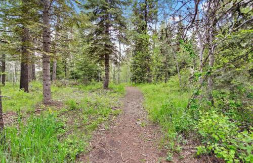 Cozy Private McCall Downtown Remodeled Studio - Foto 13