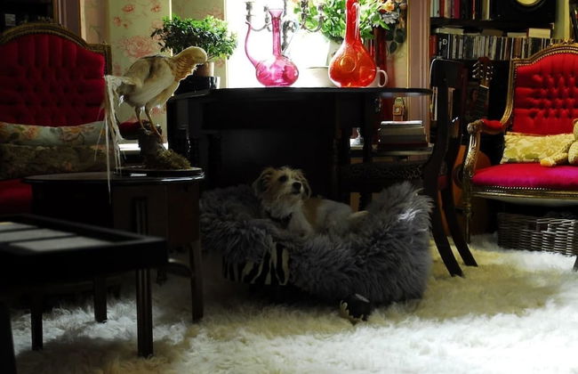 Boutique Bijoux Garden Flat in Vibrant Oval - Foto 14