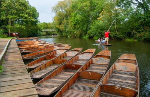 Lovely two Bedroom Flat, Fernhill Court North Oxford - Foto 49