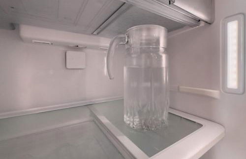 Ap Expo SP e Zoológico - Foto 42