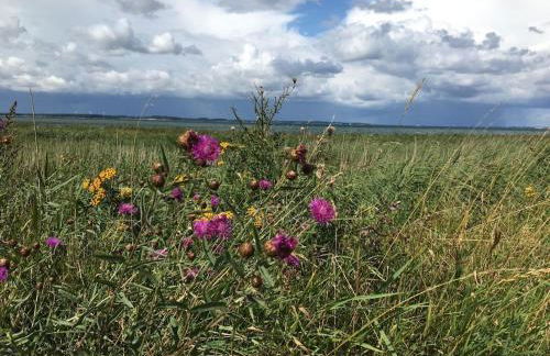 Holiday home with 3 bedrooms - Foto 23