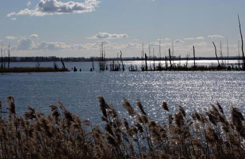 Haus an der Peene - Foto 21