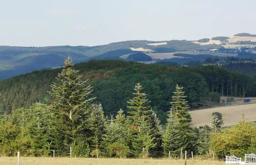 Eifelferienkurth - Photo 39