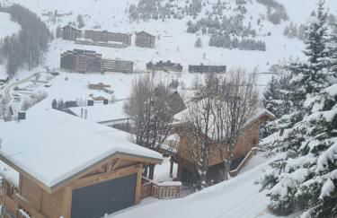 Appartement 8 couchages 45 m2 tout confort à la foux d'allos - Foto 33